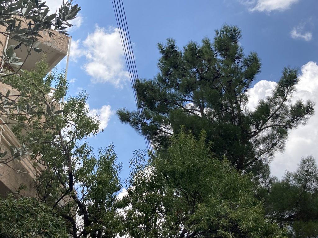 Η υπογειοποίηση του δικτύου ηλεκτροδότησης είναι η μόνη ασφαλής και οριστική λύση για την απρόσκοπτη λειτουργία του στο Δήμο Πεντέλης. Τι αναφέρει στην επιστολή της η Δήμαρχος Δήμητρα Κεχαγιά, προς τον Υπουργό Περιβάλλοντος και Ενέργειας Κωστή Χατζηδάκη και τον Διευθύνοντα Σύμβουλο του ΔΕΔΔΗΕ Αναστάσιο Μάνο