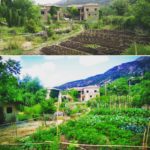 Σελιάνα: το πάντρεμα της φύσης και του ανθρώπου στα ορεινά της Αιγείρας και ο eco ξενώνας που πάντα θα επιστρέφετε!!