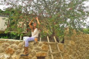 Σελιάνα: Απόδραση στα ορεινά της Αιγείρας & διαμονή σε έναν eco ξενώνα που θα μείνει αξέχαστη!