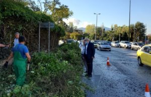 Δράσεις καθαρισμού - από το Δήμο Αμαρουσίου -  στο κτήμα Συγγρού επί της Λεωφόρου Κηφισίας 