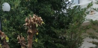 Συνεχίζονται οι παρεμβάσεις από συνεργεία του Δήμου στις γειτονιές της πόλης