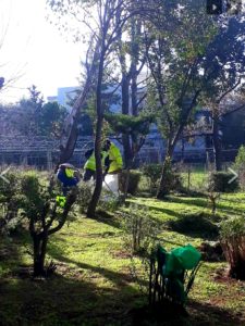 Καθαριότητα, Απολυμάνσεις και Συντήρηση Πρασίνου συνεχίζονται με αμείωτους ρυθμούς στο Δήμο Αμαρουσίου