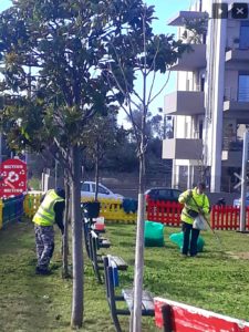 Καθαριότητα, Απολυμάνσεις και Συντήρηση Πρασίνου συνεχίζονται με αμείωτους ρυθμούς στο Δήμο Αμαρουσίου