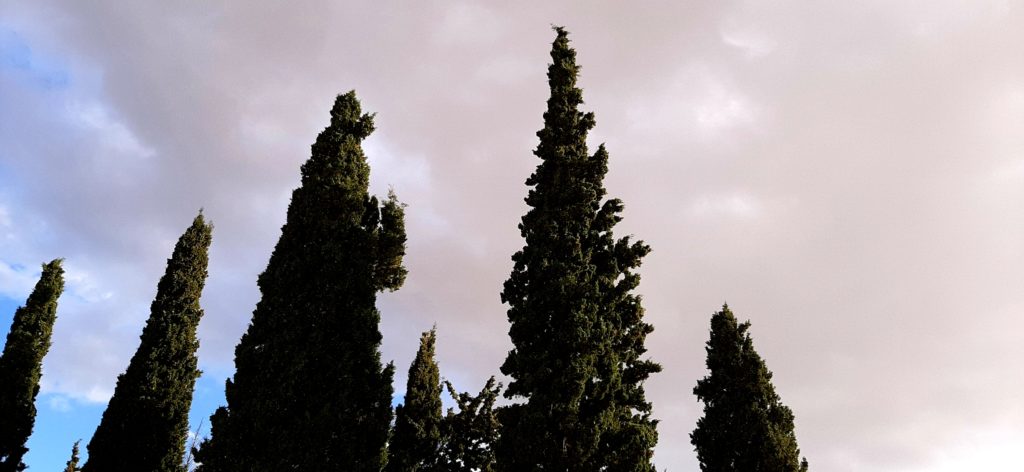Απόκοσμες συνθήκες και στο κοιμητήριο του Αμαρουσίου!