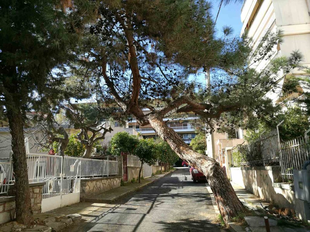 Οι Μαρουσιώτες συμμετέχουν στα κοινά της πόλης τους, σπεύδοντας να δώσουν τη δική τους ενημέρωση