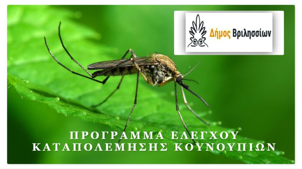 Πρόγραμμα ελέγχου - καταπολέμησης κουνουπιών στο Δήμο Βριλησσίων