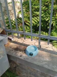 Ο Πε.Φι.Πο. Σύλλογος Αμαρουσίου προμηθεύεται και τοποθετεί ποτίστρες για τα διψασμένα αδέσποτα ζώα της πόλης μας