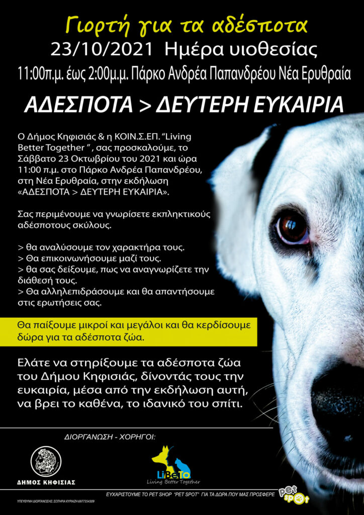 ΑΔΕΣΠΟΤΑ - ΔΕΥΤΕΡΗ ΕΥΚΑΙΡΙΑ