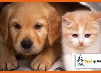 ⭕Δήμος Βριλησσίων: Κάθε ημέρα είναι ημέρα προσφοράς και βοήθειας για τα αδέσποτα ζώα!