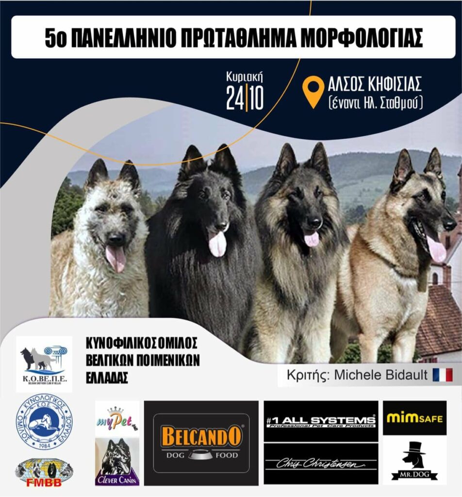 ΕΤΗΣΙΟ ΠΡΩΤΑΘΛΗΜΑ ΜΟΡΦΟΛΟΓΙΑΣ 3 ΕΤΗΣΙΟ ΠΡΩΤΑΘΛΗΜΑ ΜΟΡΦΟΛΟΓΙΑΣ