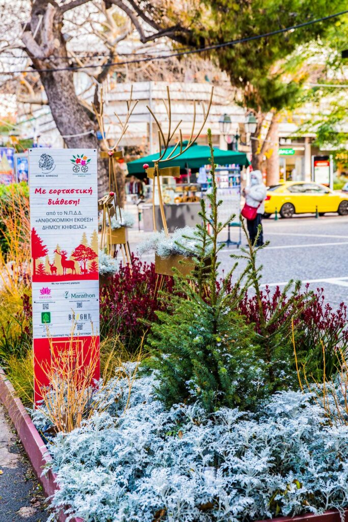 ΜΕ ΕΟΡΤΑΣΤΙΚΗ ΔΙΑΘΕΣΗ ΑΠΟ ΤΗΝ ΑΝΘΟΚΟΜΙΚΗ ΕΚΘΕΣΗ ΚΗΦΙΣΙΑΣ 4 ΜΕ ΕΟΡΤΑΣΤΙΚΗ ΔΙΑΘΕΣΗ ΑΠΟ ΤΗΝ ΑΝΘΟΚΟΜΙΚΗ ΕΚΘΕΣΗ ΚΗΦΙΣΙΑΣ