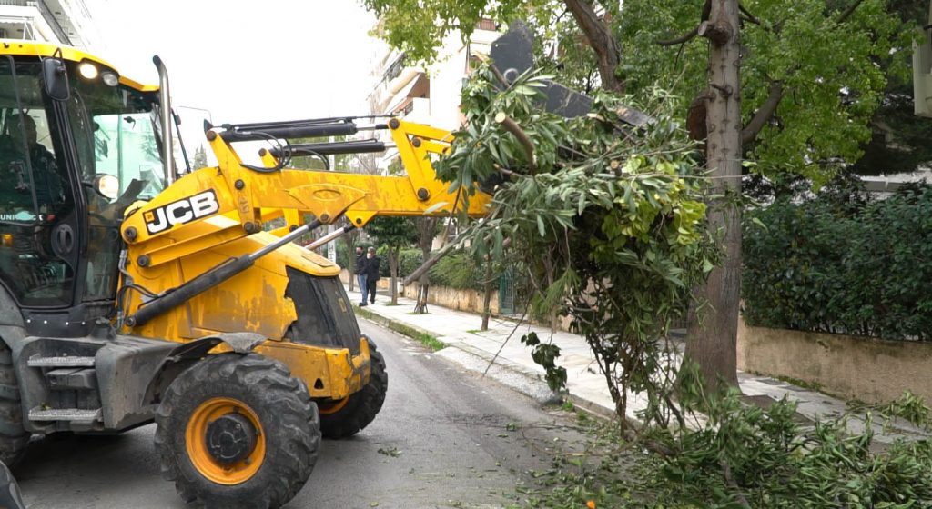 Σε προτεραιότητα οι εργασίες καθαριότητας, απολύμανσης & συντήρησης πρασίνου στο Δήμο Αμαρουσίου 3 Σε προτεραιότητα οι εργασίες καθαριότητας, απολύμανσης & συντήρησης πρασίνου στο Δήμο Αμαρουσίου