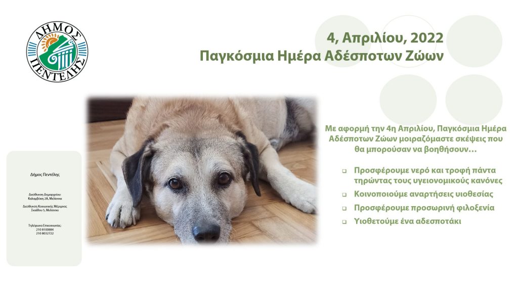 Παγκόσμια Ημέρα Αδέσποτων Ζώων – 4 Απριλίου