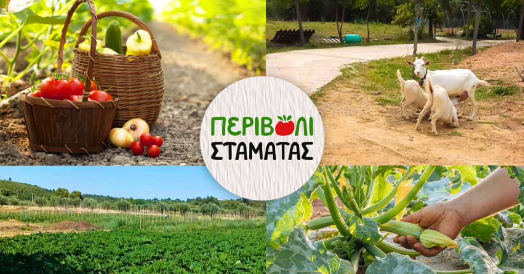 Καλλιεργήστε τα δικά σας κηπευτικά στο "Περιβόλι Σταμάτας".