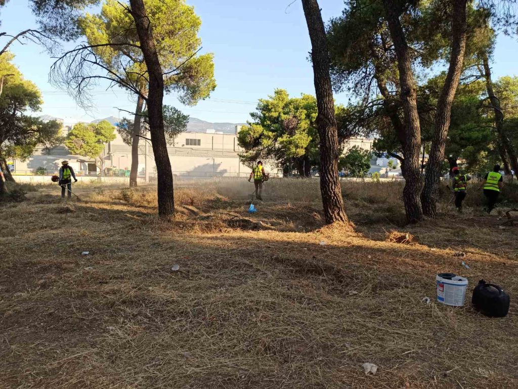 ΚΑΘΑΡΙΣΜΟΙ ΣΤΟ ΔΑΣΟΣ ΦΑΣΙΔΕΡΙ