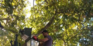 LED ΣΤΟ ΠΑΡΑΔΟΣΙΑΚΟ ΚΕΝΤΡΟ ΤΗΣ ΚΗΦΙΣΙΑΣ