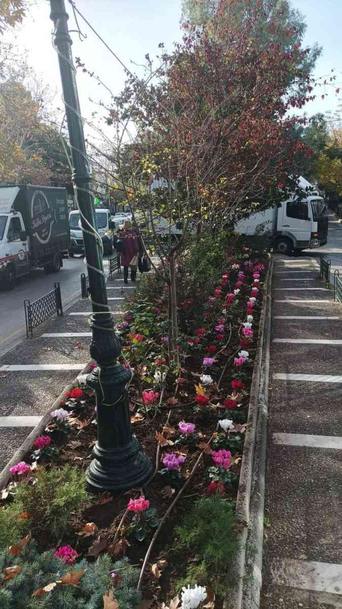 ΟΜΟΡΦΑΙΝΟΥΝ ΓΩΝΙΕΣ ΤΟΥ ΔΗΜΟΥ ΜΑΣ, ΜΕ ΟΜΟΡΦΑ ΛΟΥΛΟΥΔΙΑ