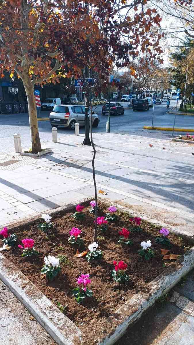 ΟΜΟΡΦΑΙΝΟΥΝ ΓΩΝΙΕΣ ΤΟΥ ΔΗΜΟΥ ΜΑΣ, ΜΕ ΟΜΟΡΦΑ ΛΟΥΛΟΥΔΙΑ