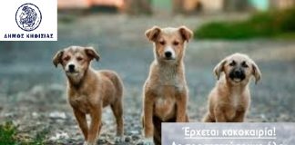 ΕΡΧΕΤΑΙ ΚΑΚΟΚΑΙΡΙΑ ΦΡΟΝΤΙΖΟΥΜΕ ΤΟΥΣ ΤΕΤΡΑΠΟΔΟΥΣ ΦΙΛΟΥΣ ΜΑΣ!