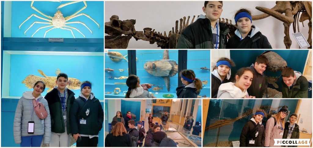 EKΠΑΙΔΕΥΤΙΚΟ ΠΡΟΓΡΑΜΜΑ «ERASMUS» ME ΘΕΜΑ «MAKE ME LIVE, I WILL LIVE, THE WORLD WILL LIVE» – ΕΛΛΗΝΙΚΗ ΑΠΟΣΤΟΛΗ ΣΤΗΝ ΙΤΑΛΙΑ