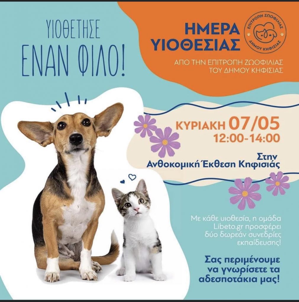 ΗΜΕΡΑ ΥΙΟΘΕΣΙΑΣ ΣΤΗΝ ΑΝΘΟΚΟΜΙΚΗ ΕΚΘΕΣΗ ΚΗΦΙΣΙΑΣ 7/5