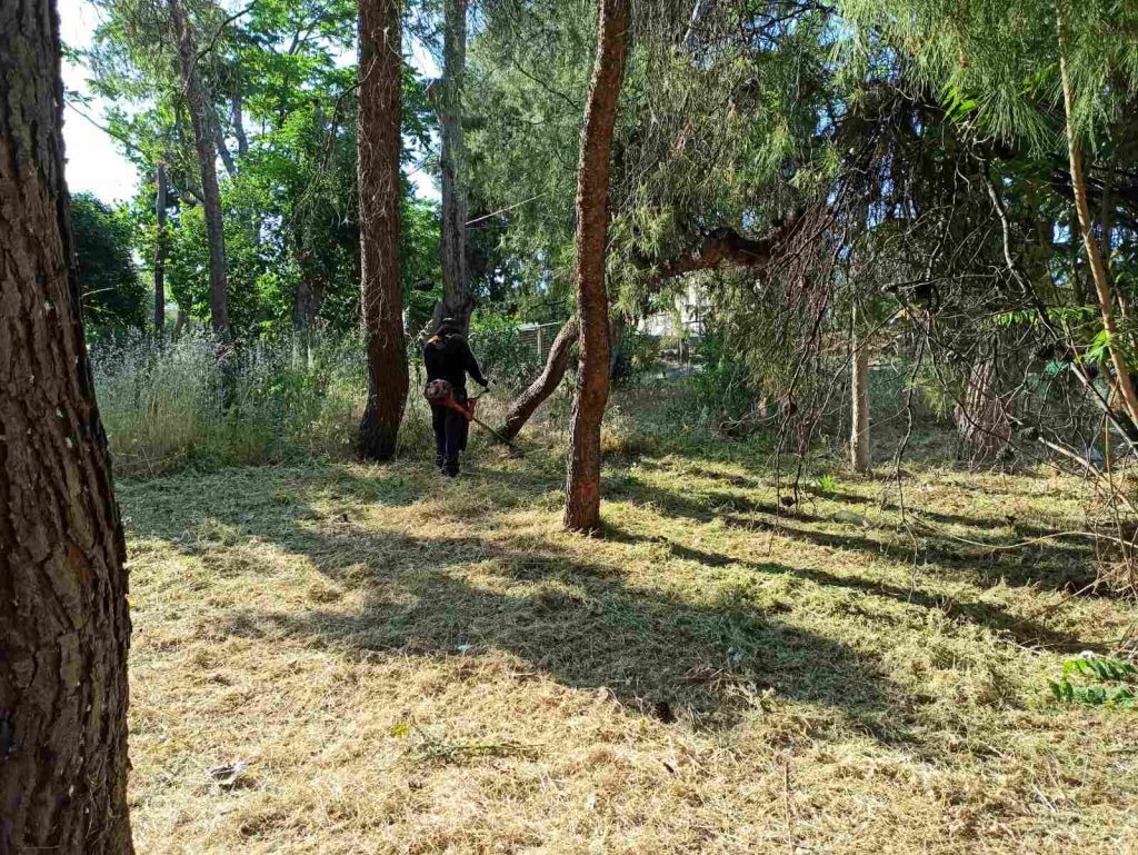 ΚΑΘΑΡΙΣΜΟΙ ΚΑΙ ΑΠΟΨΙΛΩΣΕΙΣ ΑΠΟ ΤΟΝ ΔΗΜΟ ΚΗΦΙΣΙΑΣ 5 ΚΑΘΑΡΙΣΜΟΙ ΚΑΙ ΑΠΟΨΙΛΩΣΕΙΣ ΑΠΟ ΤΟΝ ΔΗΜΟ ΚΗΦΙΣΙΑΣ