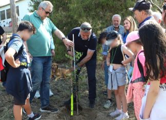 Εκατοντάδες μαθητές συμμετείχαν στην περιβαλλοντική δράση που διοργανώθηκε από την Περιφέρεια Αττικής στο Μητροπολιτικό Πάρκο «Αντ. Τρίτσης», με αφορμή και την Παγκόσμια Ημέρα Περιβάλλοντος στις 5 Ιουνίου