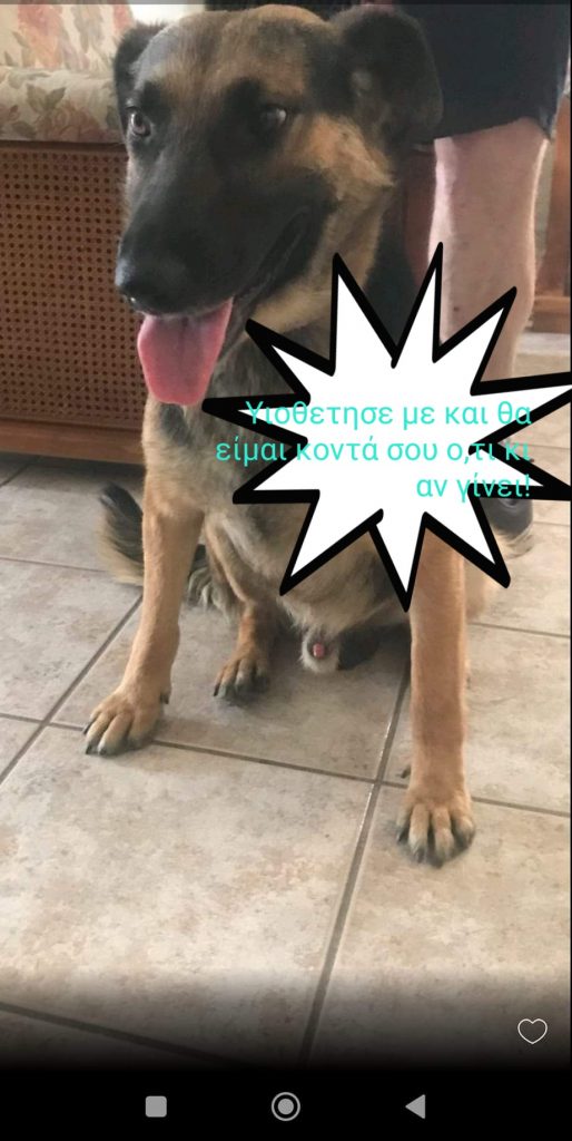 Ο Έκτορας έχασε τον κηδεμόνα του, αλλά όχι την ελπίδα του για αγάπη και μια νέα οικογένεια