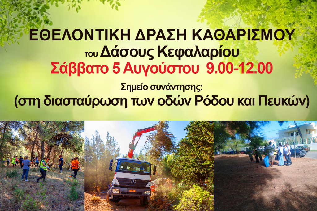 ΚΑΘΑΡΙΖΟΥΜΕ ΤΟ ΔΑΣΟΣ ΚΕΦΑΛΑΡΙΟΥ 5/8