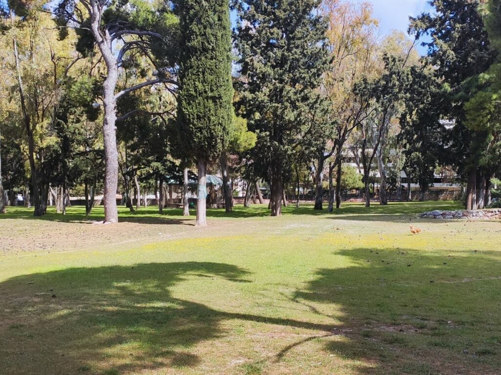 Λειτουργία Κτήματος Φιξ 11 και 12 Νοεμβρίου