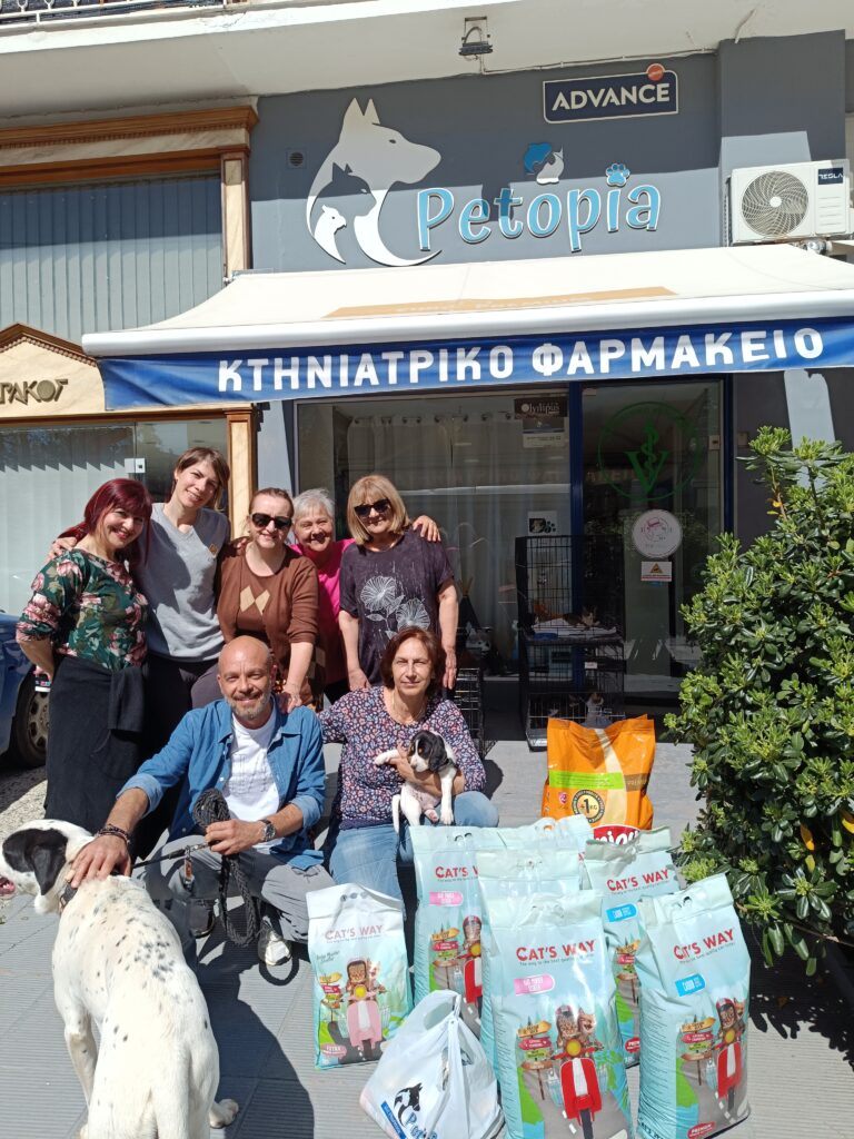 Παγκόσμια Ημέρα Αδέσποτων: Για τη Cityzen τα αδέσποτα δεν έχουν θέση στον δρόμο
