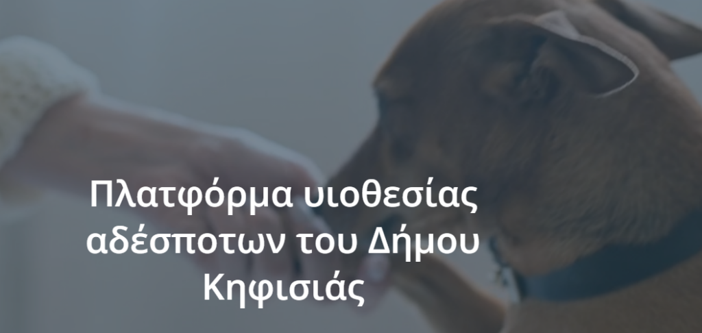 ΑΔΕΣΠΟΤΑΚΙΑ ΑΝΑΖΗΤΟΥΝ ΟΙΚΟΓΕΝΕΙΑ