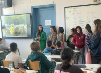 Παγκόσμια Ημέρα Ρομά