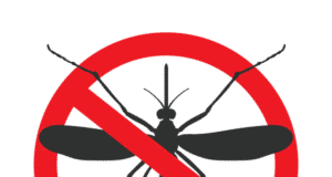 Πρόγραμμα καταπολέμησης κουνουπιών στο Δήμο Κηφισιάς