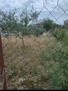 Ο Δήμος Χαλανδρίου εφαρμόζει το νόμο – Ψευδής η είδηση ότι επιβλήθηκε πρόστιμο σε «ακαθάριστο» χλοοτάπητα