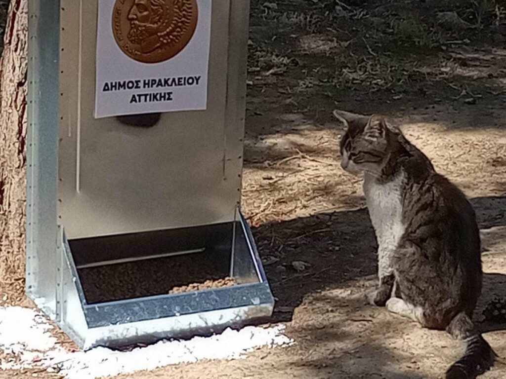 Φαγητό και νερό σε 24 σημεία της πόλης: ο Δήμος Ηρακλείου Αττικής τοποθέτησε σχετική υποδομή