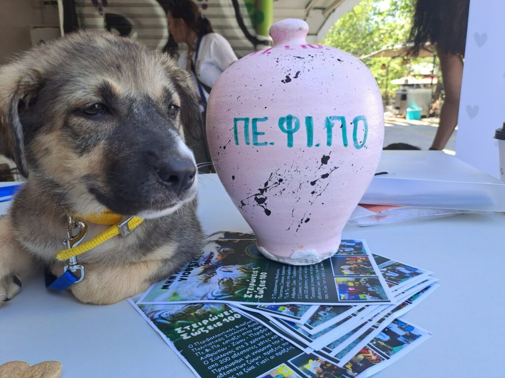 Με επιτυχία πραγματοποιήθηκε ακόμη μία «Γιορτή Υιοθεσίας», αδέσποτων ζώων με την υποστήριξη του Δήμου Αμαρουσίου
