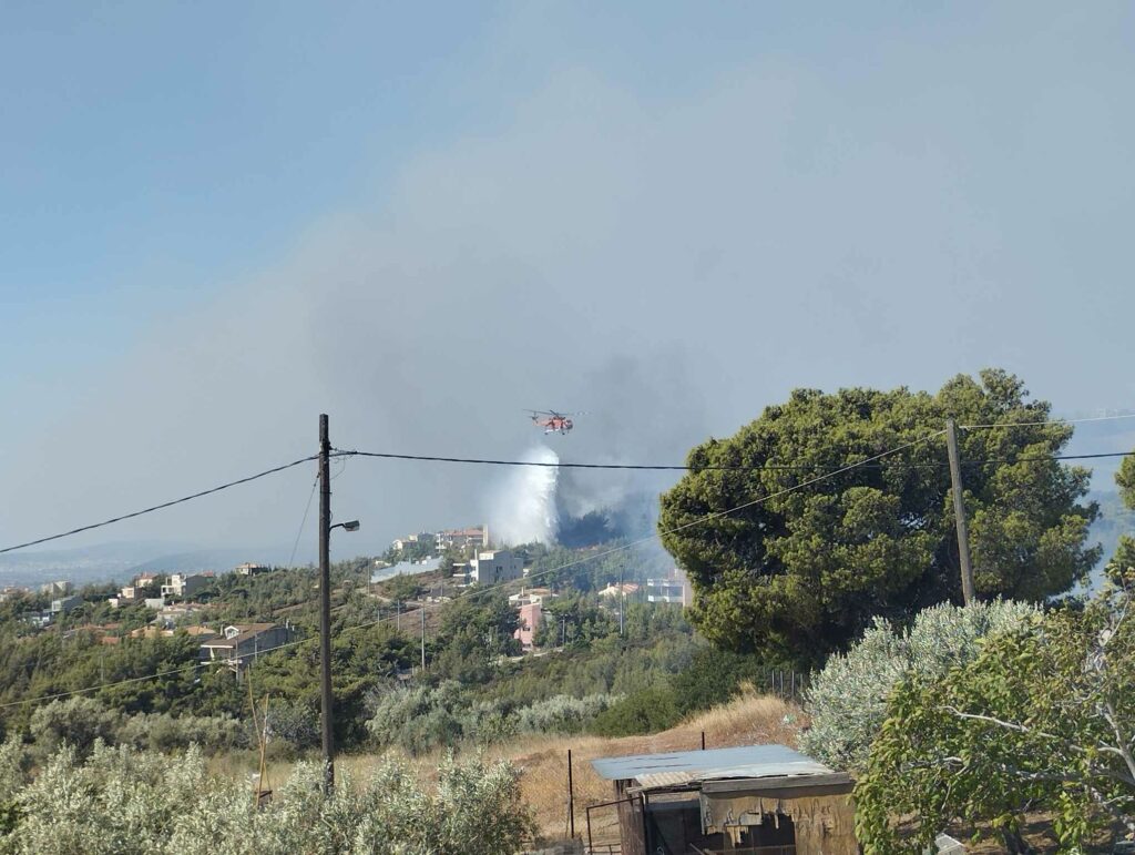 Ενημέρωση επί της επιχείρησης κατάσβεσης των μετώπων φωτιάς από Βαρνάβα 3 Ενημέρωση επί της επιχείρησης κατάσβεσης των μετώπων φωτιάς από Βαρνάβα