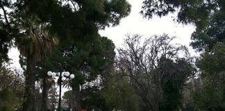 Κλειστά σήμερα Παρασκευή 16/8 όλα τα πάρκα, δάση και άλση του Δήμου