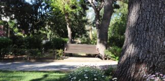 Κλειστά σήμερα Σάββατο 17/8 δάση, άλση και πάρκα του Δήμου