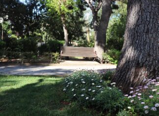 Κλειστά σήμερα Σάββατο 17/8 δάση, άλση και πάρκα του Δήμου