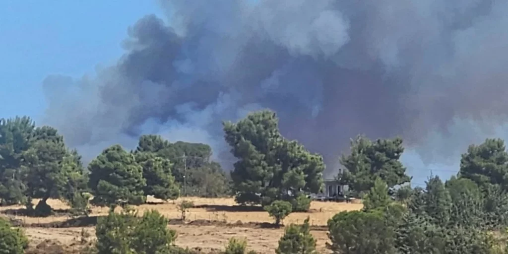 Μεταφορά καπνού και στάχτης εξαιτίας της φωτιάς στον Βαρνάβα 3 Μεταφορά καπνού και στάχτης εξαιτίας της φωτιάς στον Βαρνάβα