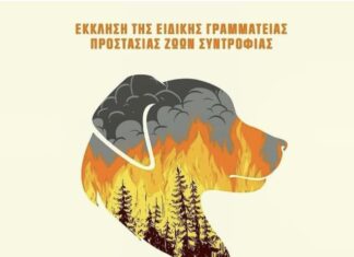 ΜΗΝ ΕΓΚΑΤΑΛΕΙΠΕΤΕ ΤΑ ΚΑΤΟΙΚΙΔΙΑ ΣΑΣ