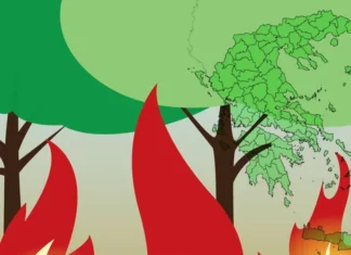 Πολύ υψηλός κίνδυνος πυρκαγιάς (4) την Πέμπτη 15/8/2024