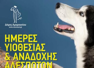 Ημέρα Υιοθεσίας Αδέσποτων Ζώων στον Δήμο Αμαρουσίου | Σάββατο 21 Σεπτεμβρίου 2024,Σταθμός ΗΣΑΠ Αμαρουσίου