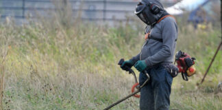 Οδηγίες για τη σωστή διαχείριση βλάστησης εντός οικοπέδων