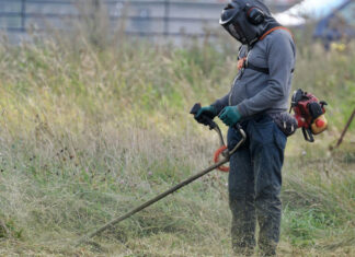 Οδηγίες για τη σωστή διαχείριση βλάστησης εντός οικοπέδων
