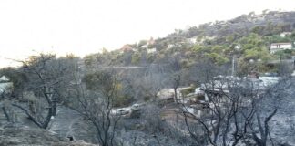 Παρατείνεται η λειτουργία της πλατφόρμας arogi.gov.gr για τους πυρόπληκτους της Αττικής