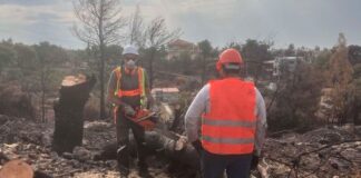 Προμήθεια καύσιμης ξυλείας από τον Δήμο Χαλανδρίου – Προϋποθέσεις