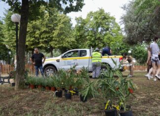 Δράση φύτευσης φυτών και δένδρων στον ποδηλατοδρόμο του Πολυδρόσου από τη Διεύθυνση Περιβάλλοντος του Δήμου Αμαρουσίου και εθελοντές της εταιρείας Κωτσόβολος και της Οργάνωσης ΓΗ